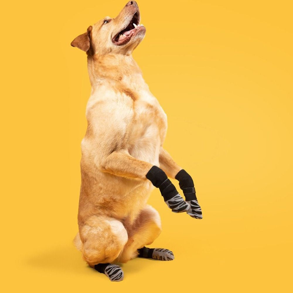 Kit 4 Sapatos Ortopédicos Antiderrapantes com Cinta de Segurança