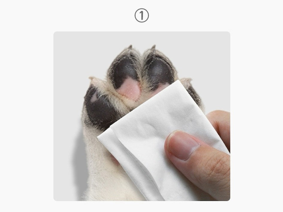 Adesivos antiderrapantes para cães