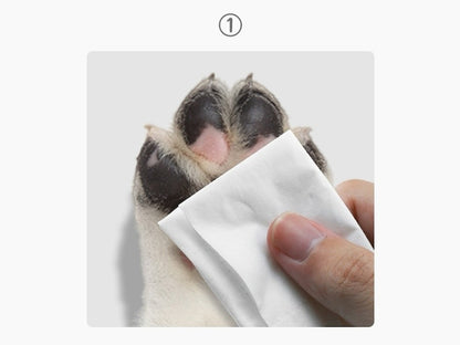 Adesivos antiderrapantes para cães