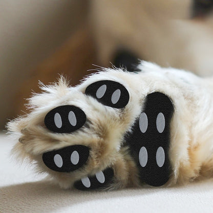 Adesivos antiderrapantes para cães
