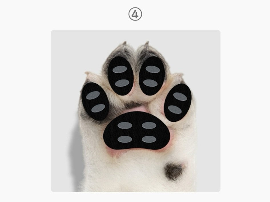 Adesivos antiderrapantes para cães