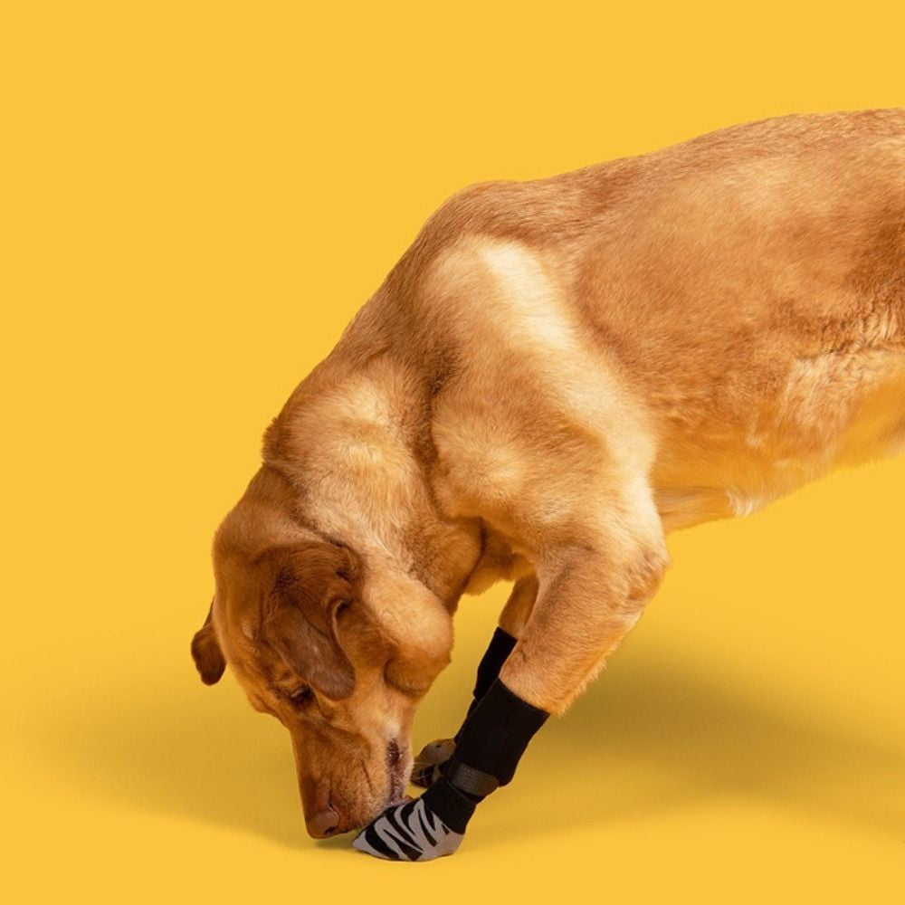 Kit 4 Sapatos Ortopédicos Antiderrapantes com Cinta de Segurança