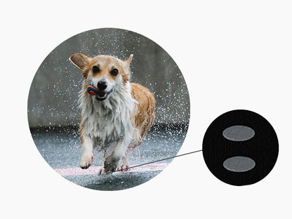 Adesivos antiderrapantes para cães