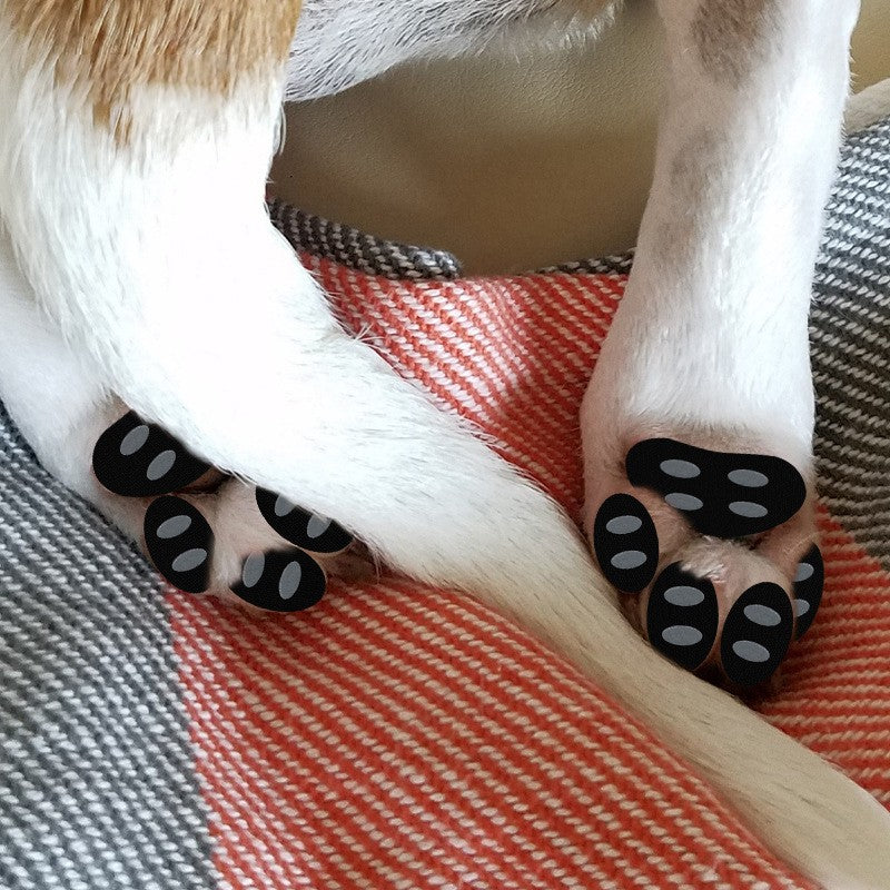 Adesivos antiderrapantes para cães