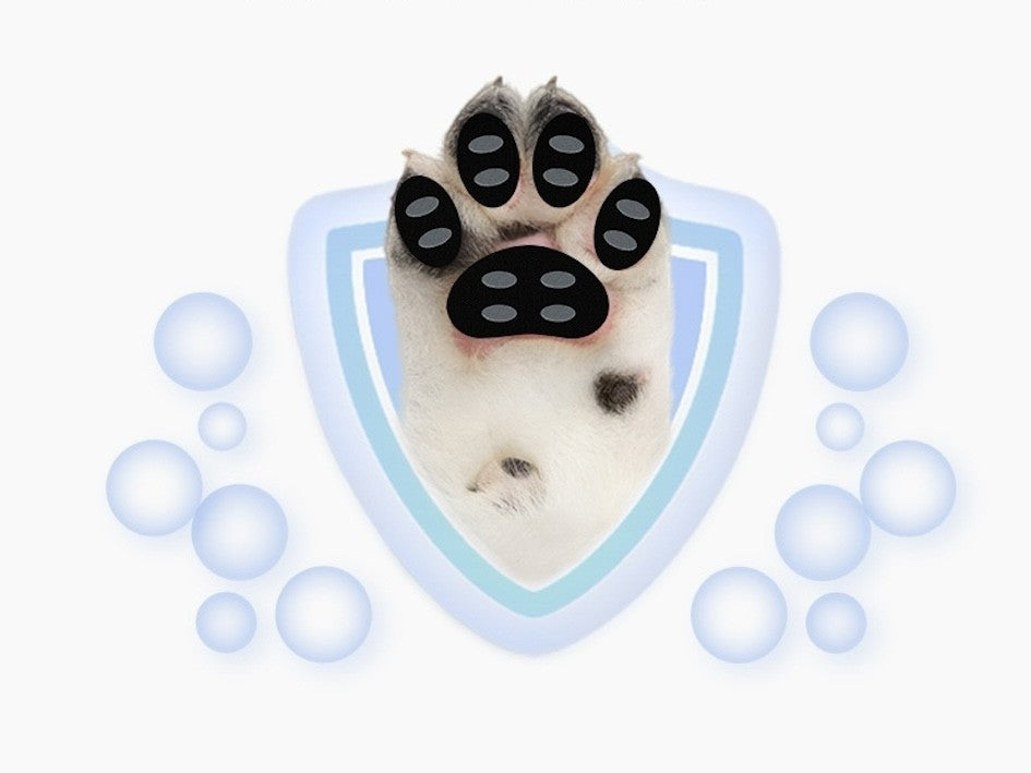 Adesivos antiderrapantes para cães